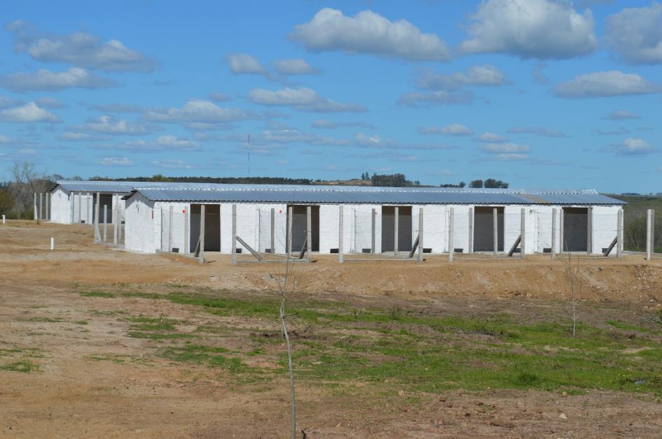 Florida cuenta con el primer albergue de animales del Uruguay