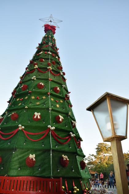 Florida encendió su Árbol de Navidad en el Prado Piedra Alta
