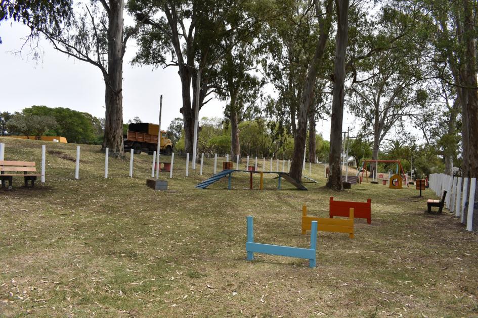 plaza canina