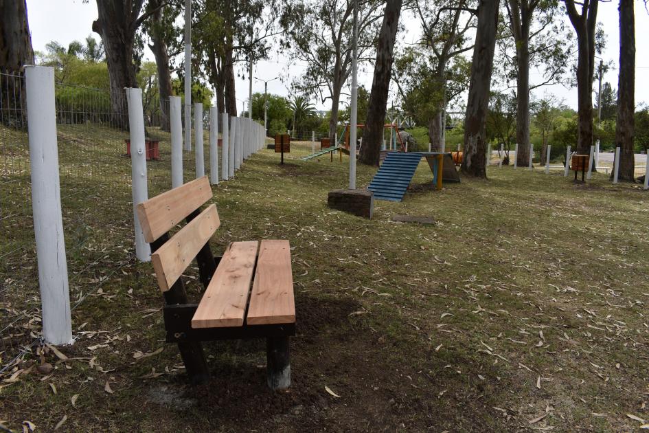 plaza canina