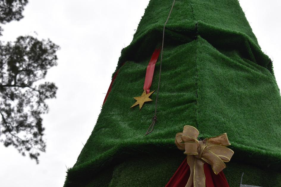 Este domingo Florida enciende el tradicional árbol de navidad