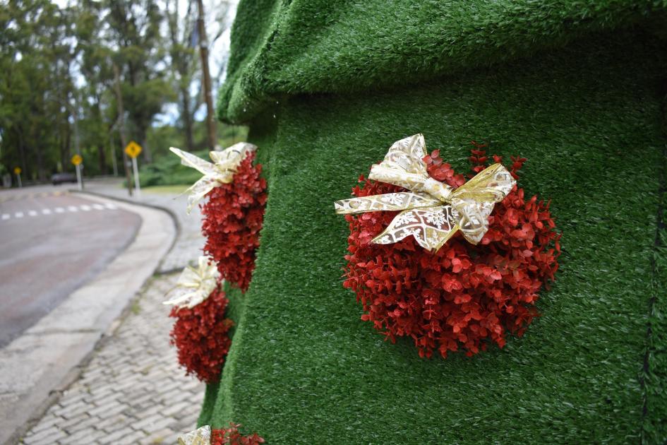 Este domingo Florida enciende el tradicional árbol de navidad