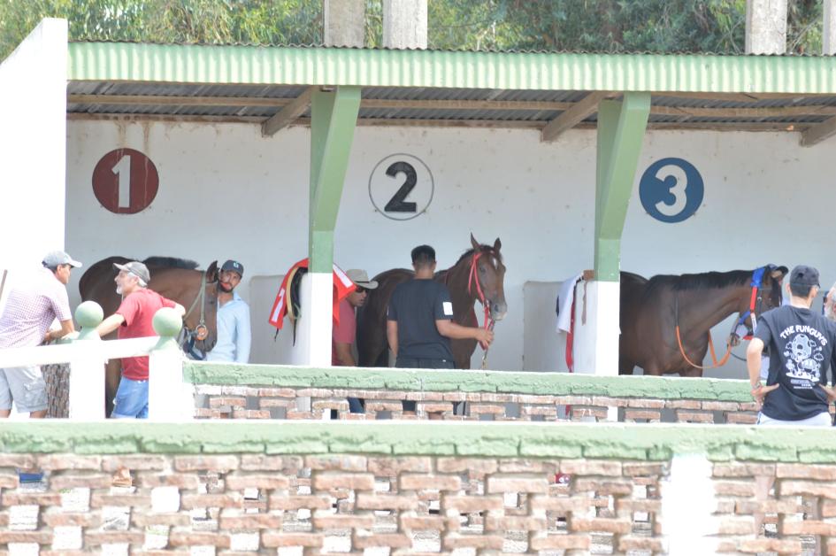 1era. Jornada en Hipodromo Parque Irineo Leguisamo ´´