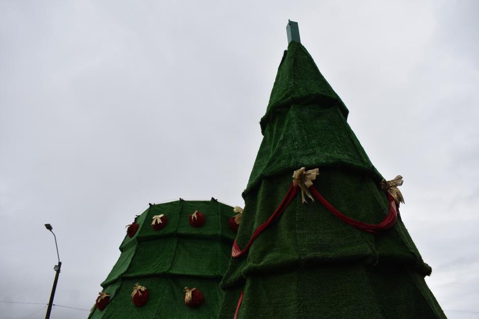 Este domingo Florida enciende el tradicional árbol de navidad