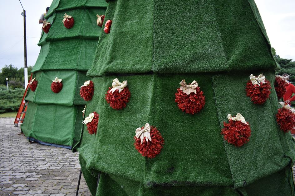 Este domingo Florida enciende el tradicional árbol de navidad