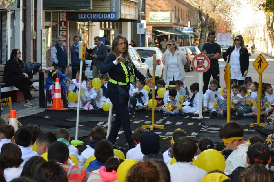 Actividad frente a la IDF