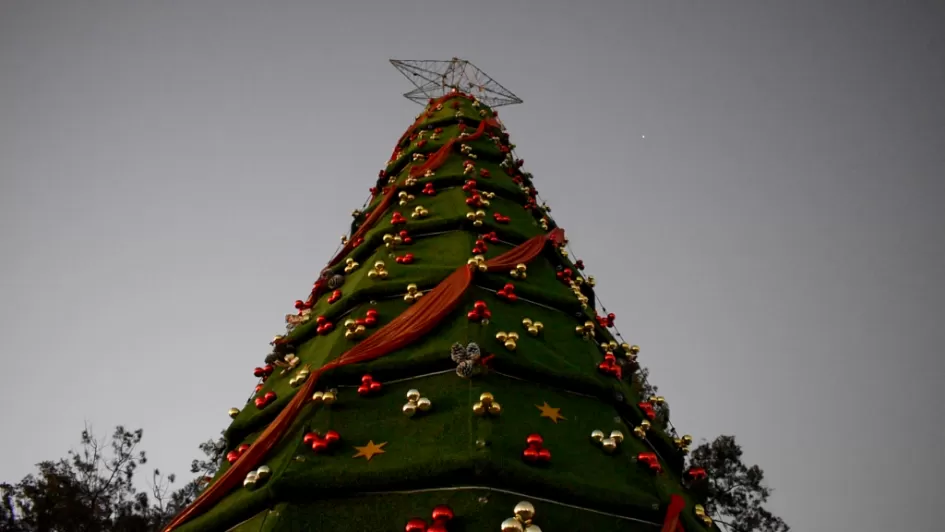 Encendido árbol Navidad ´´