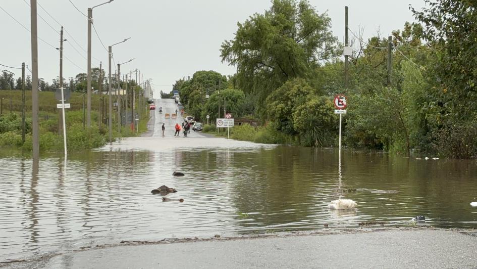 Coordinan acciones para el regreso de las familias afectadas a sus hogares 