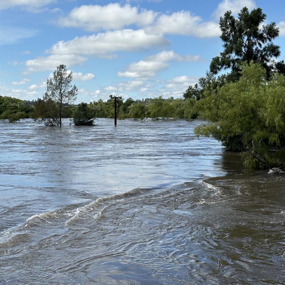 Informe CECOED de la situación en Florida