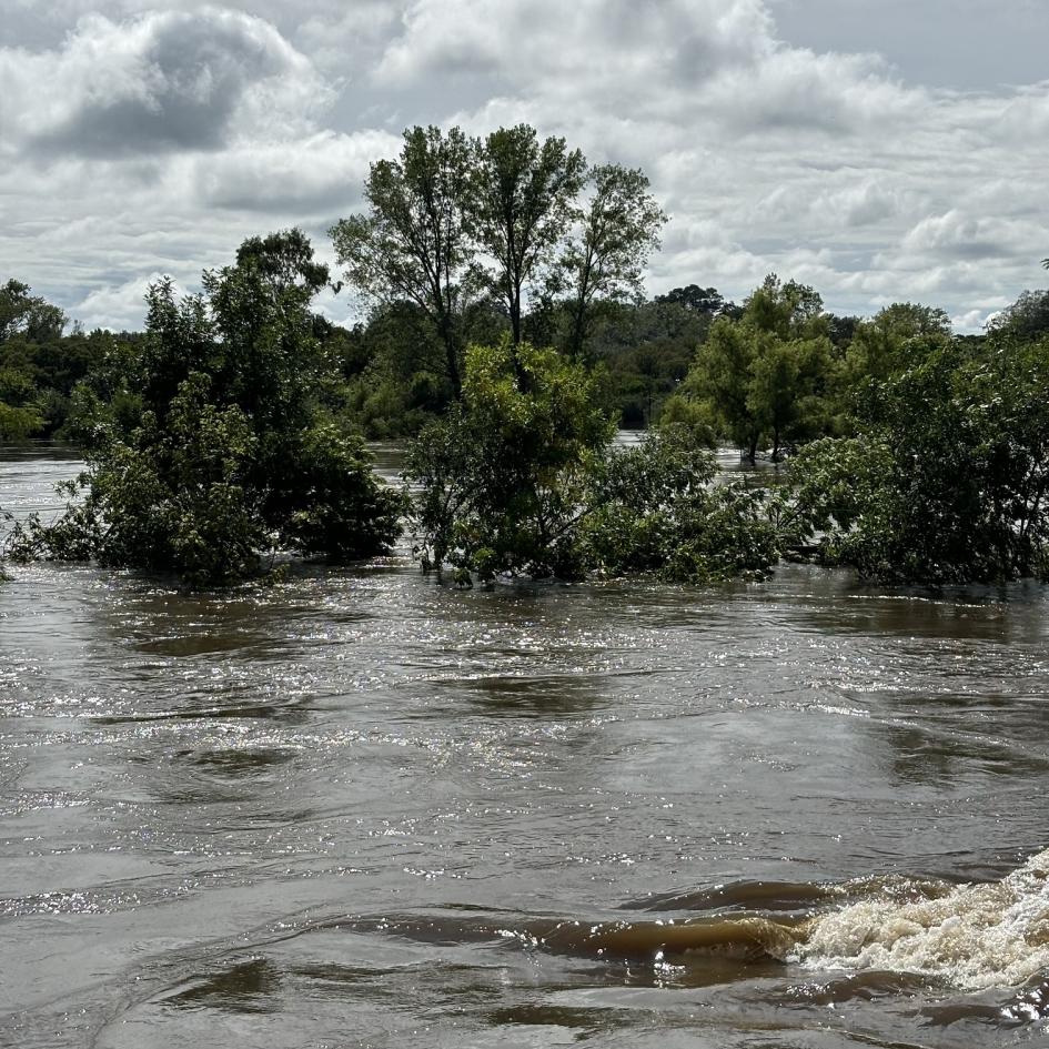 Informe CECOED de la situación en Florida Informe CECOED de la situación en Florida