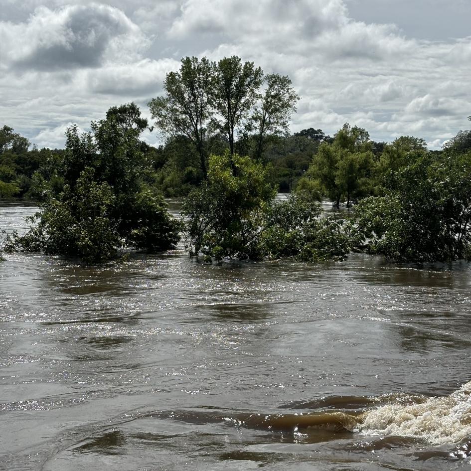 Informe CECOED de la situación en Florida