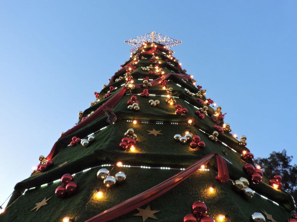 Fiesta de Navidad