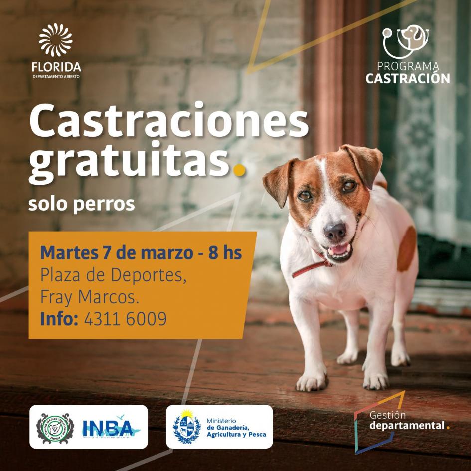 Programa de castraciones Programa de castraciones