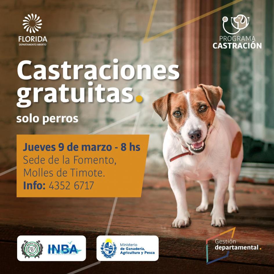 Programa de castraciones Programa de castraciones