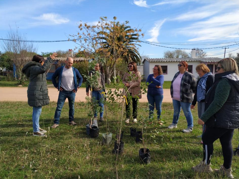 Plantación de especies nativas en plaza de La Macana