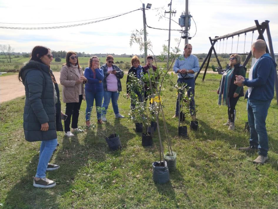 Plantación de especies nativas en plaza de La Macana