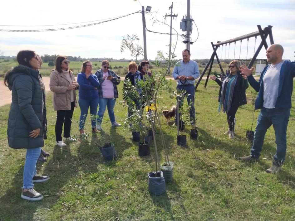 Plantación de especies nativas en plaza de La Macana