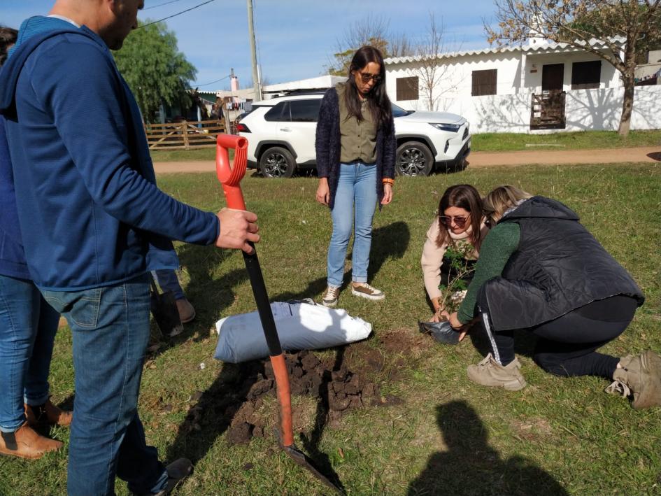 Plantación de especies nativas en plaza de La Macana