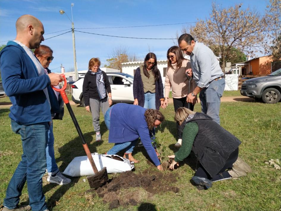 Plantación de especies nativas en plaza de La Macana