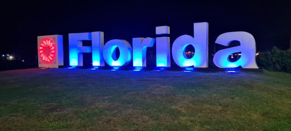 Letras de Florida en color celeste Letras de Florida en color celeste