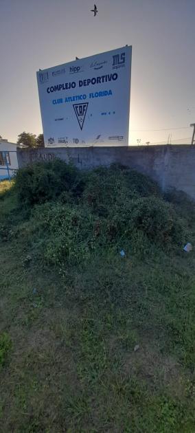 Trabajos en espacios públicos de la capital e interior Trabajos en espacios públicos de la capital e interior