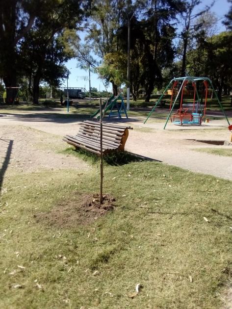 Mantenimiento de espacios públicos en la ciudad de Florida Mantenimiento de espacios públicos en la ciudad de Florida