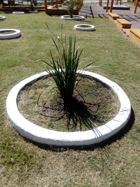 Mantenimiento de espacios públicos en la ciudad de Florida Mantenimiento de espacios públicos en la ciudad de Florida