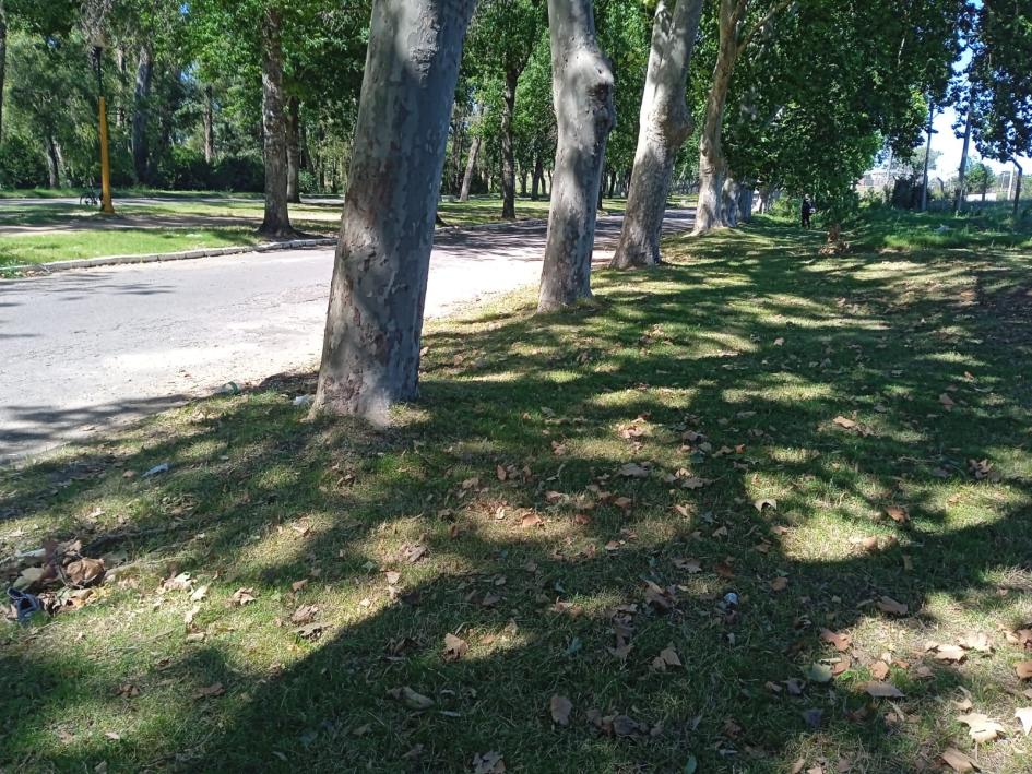 Mantenimiento de espacios públicos en la ciudad de Florida Mantenimiento de espacios públicos en la ciudad de Florida
