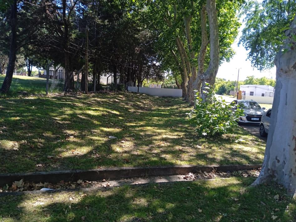 Mantenimiento de espacios públicos en la ciudad de Florida Mantenimiento de espacios públicos en la ciudad de Florida