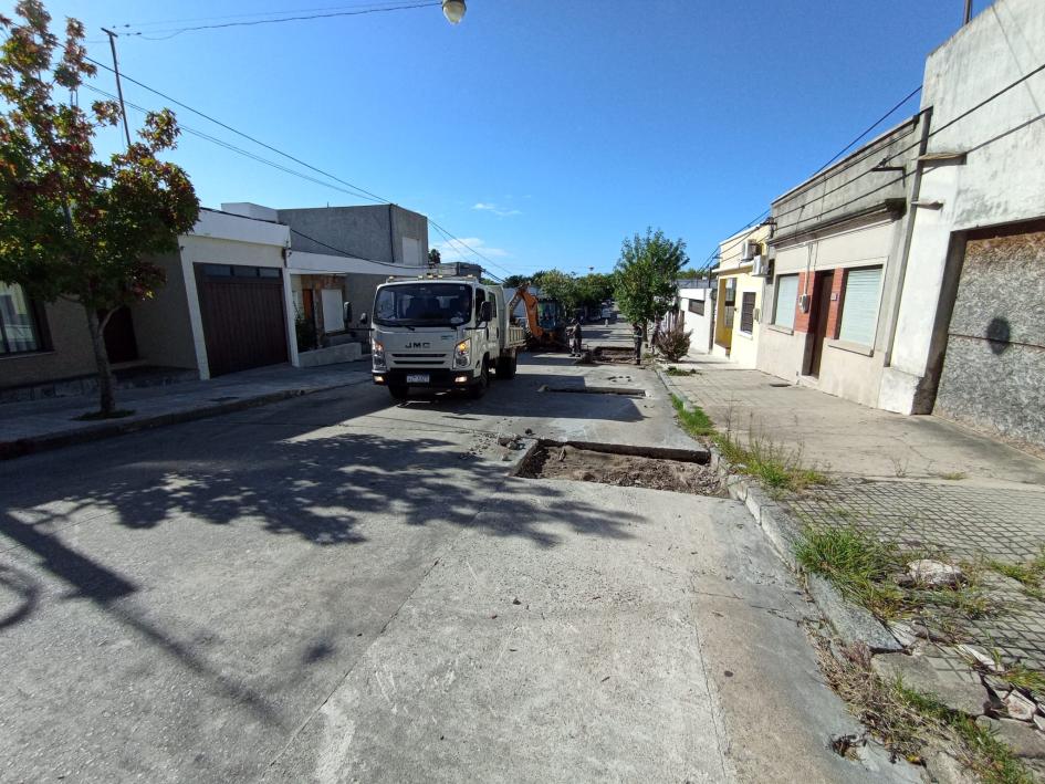 calle Dr. González calle Dr. González