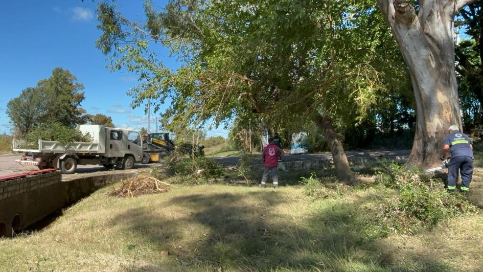 Florida trabaja en la recuperación de estructuras y vuelta a los hogares tras inundación 