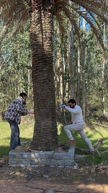.