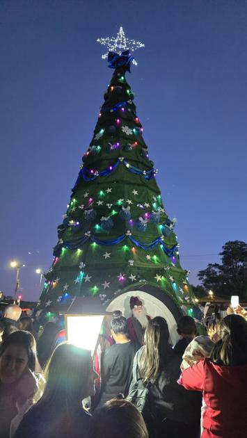 Encendido árbol navidad ´´