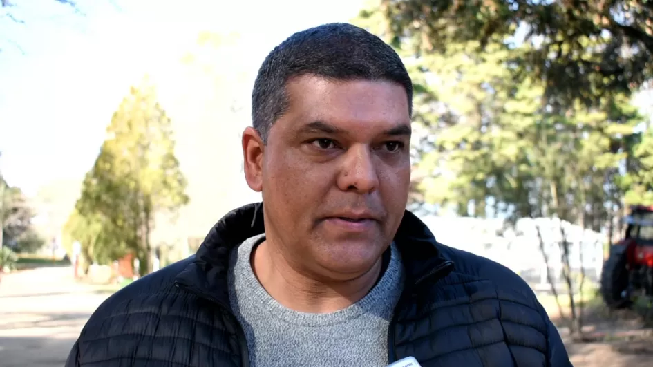 Arbolado ciudad ´´