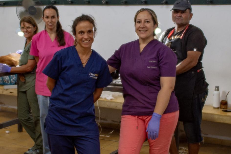 Castraciones gratuitas de canes y felinos ´´
