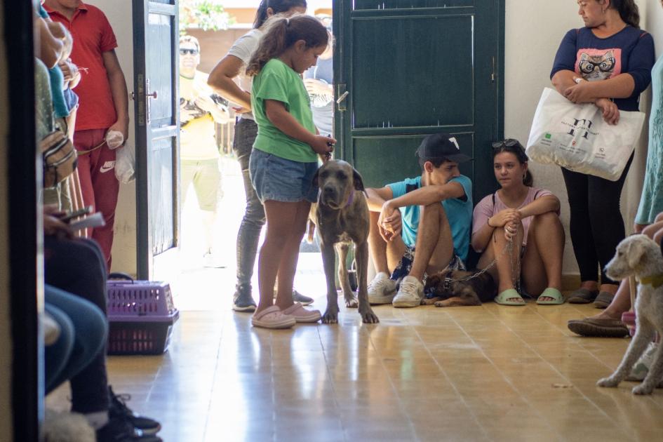 Castraciones gratuitas de canes y felinos ´´