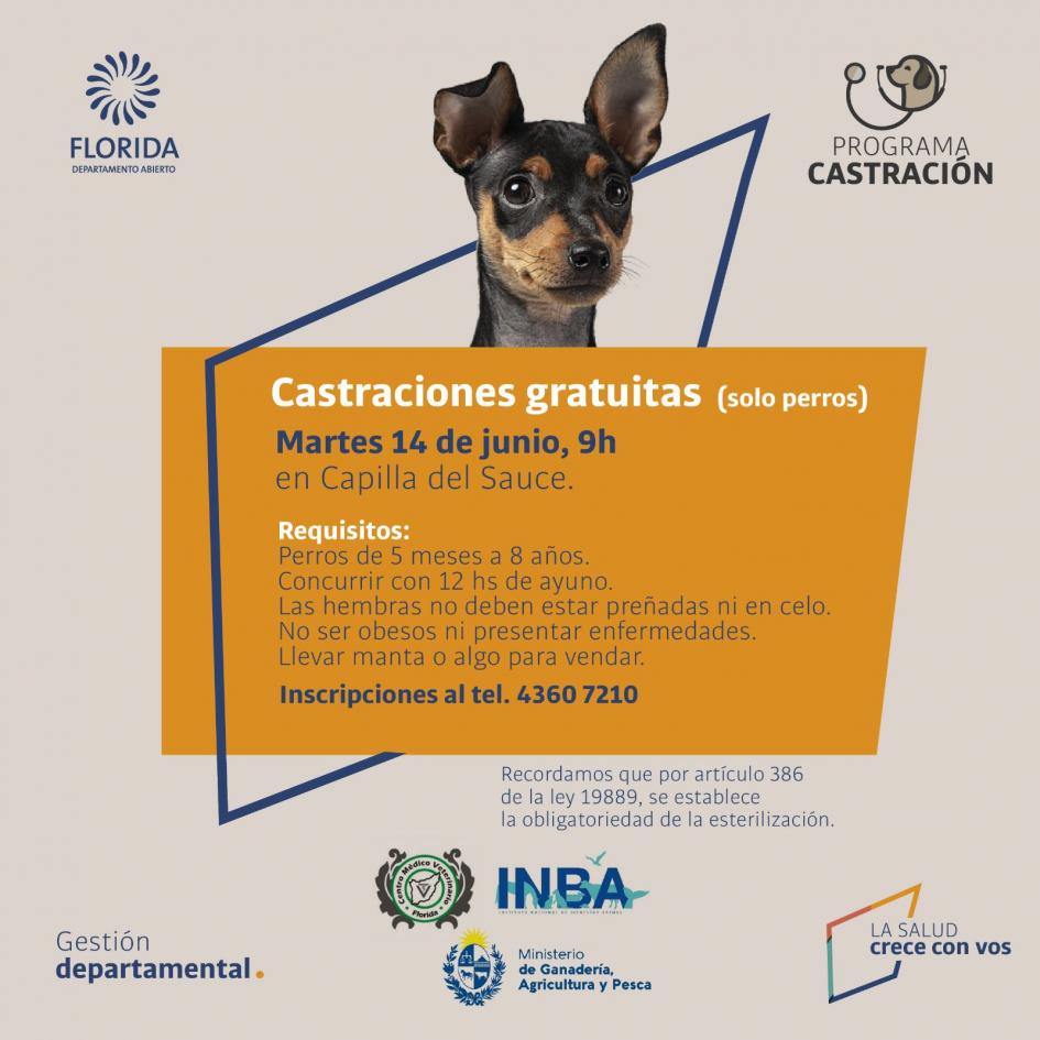 Programa castración ´´