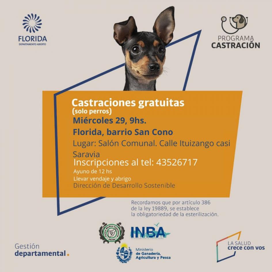 Castración de canes, La Cruz programa castración canes