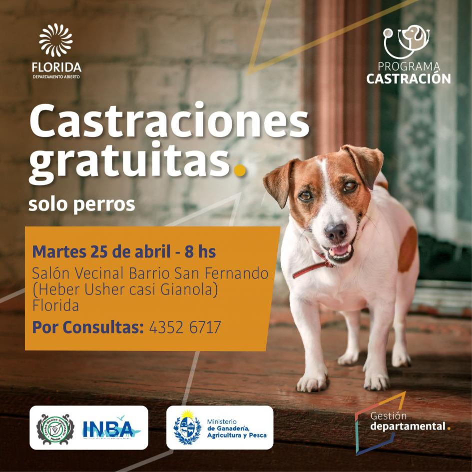Continúa programa de castraciones de canes Continúa programa de castraciones de canes