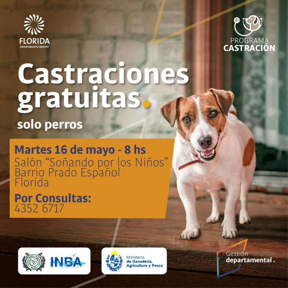 Castraciones de canes Castraciones de canes