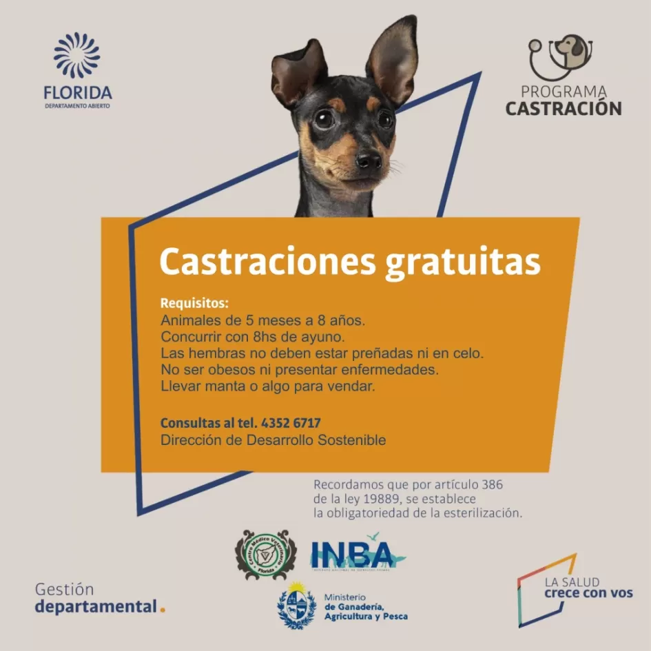 Castraciones canes ´´