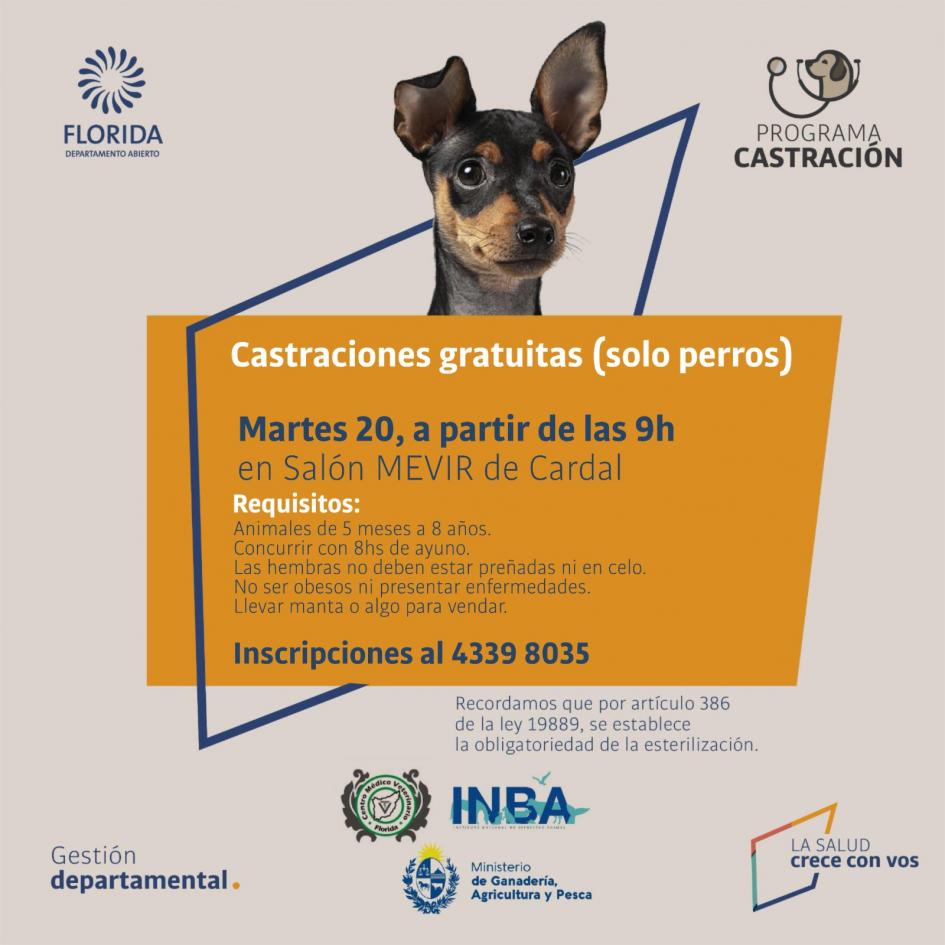 Castraciones en Cardal ´´