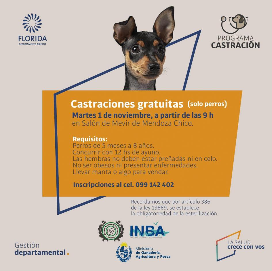 Castraciones Mendoza Chico ´´
