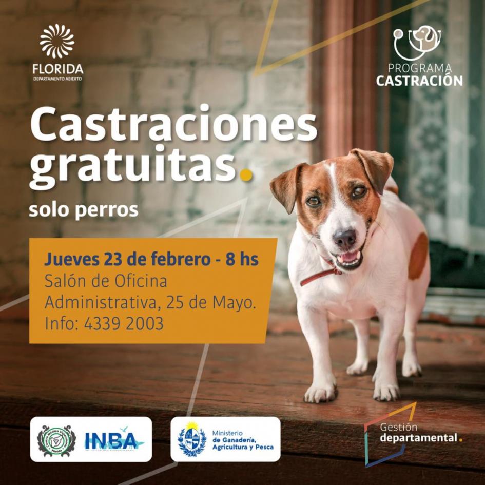 Castaciones de canes ´´
