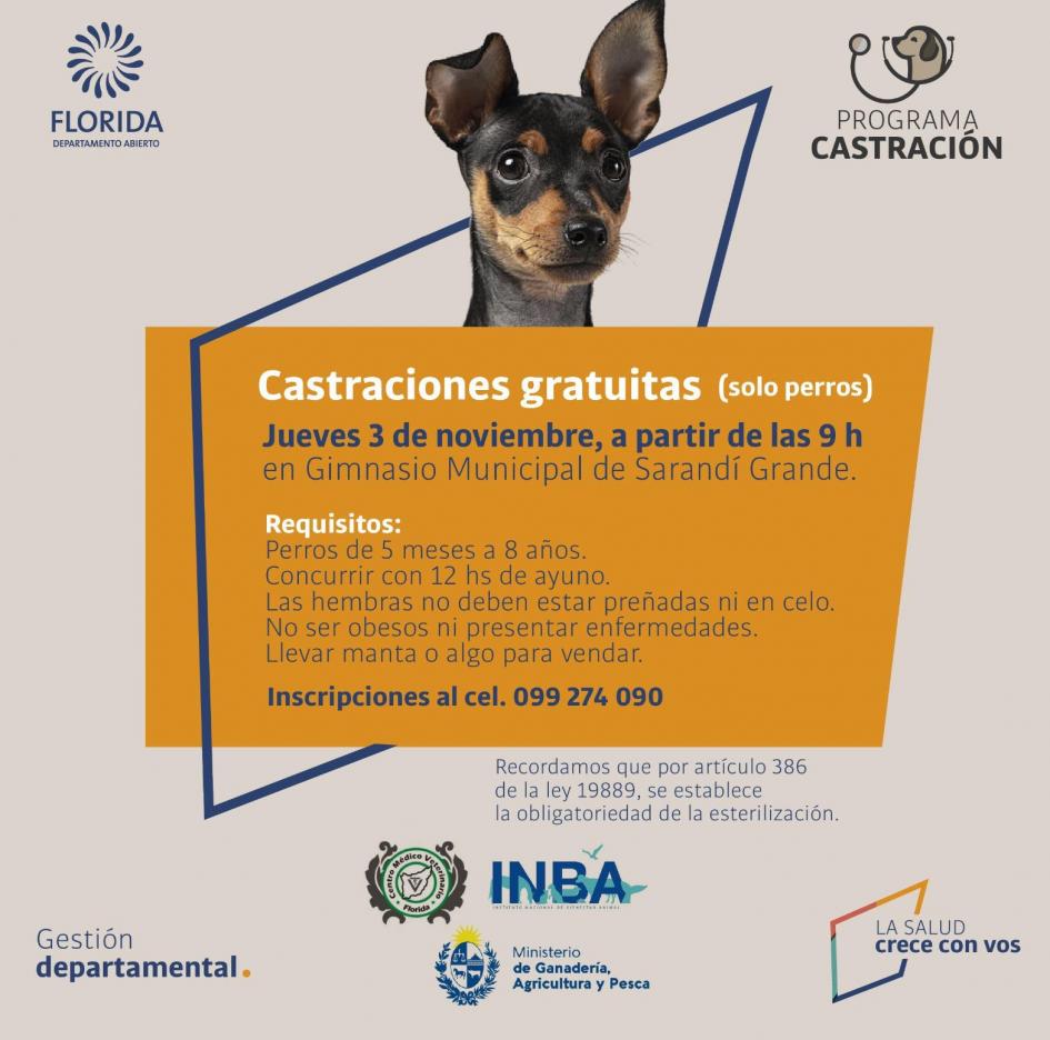 Castraciones Sarandi Grande ´´