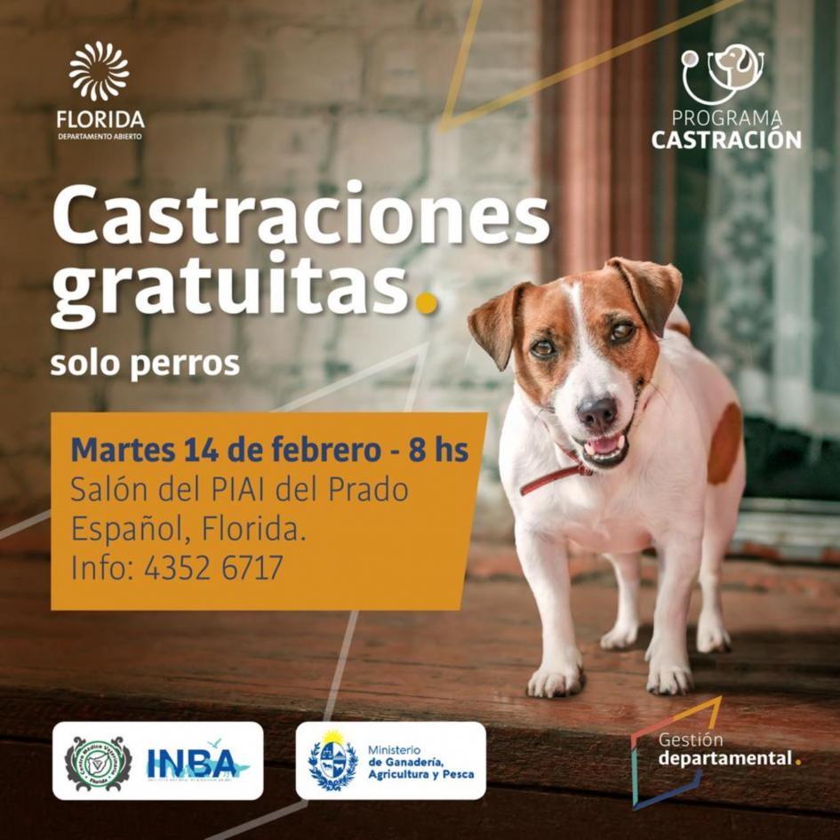 Castaciones de canes ´´
