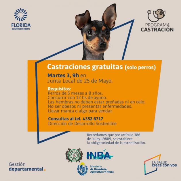 Castraciones 25 de Mayo ´´