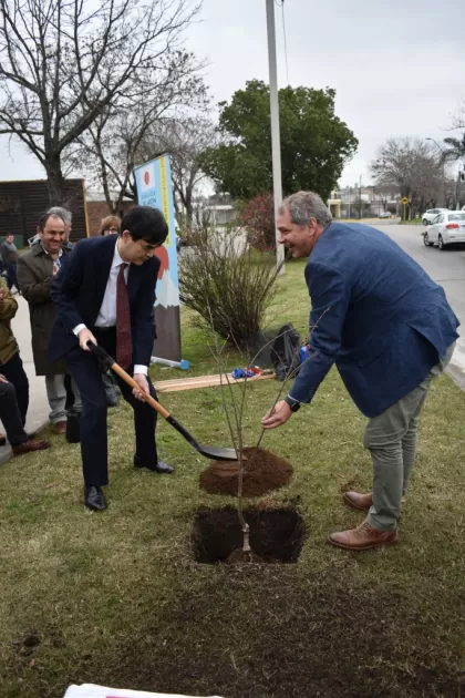 Plantan árbol de cerezo Intendente de Florida junto al embajador del Japón plantan árbol de cerezo