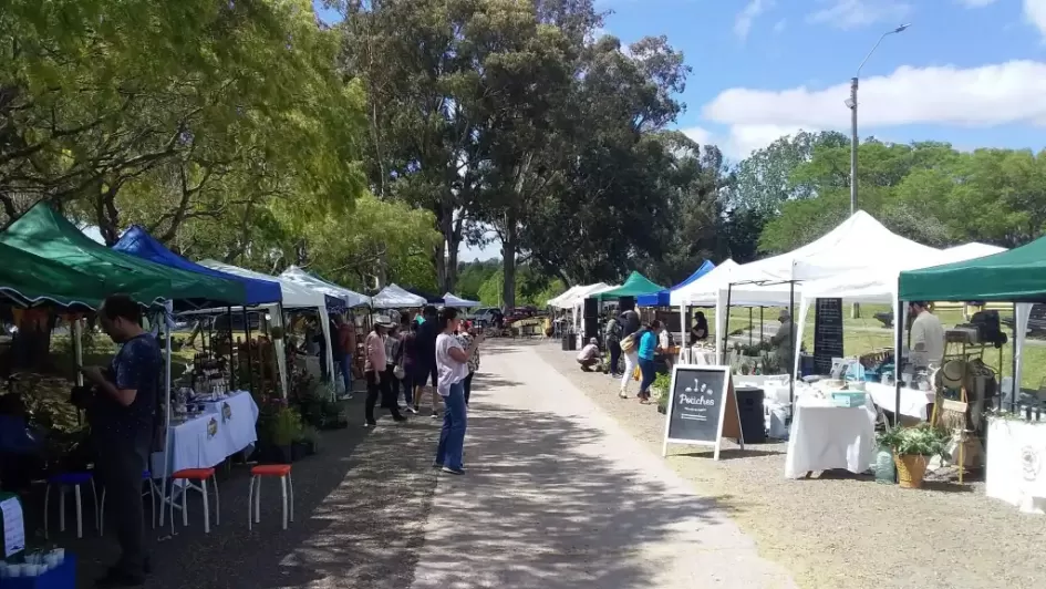 Feria Verde ´´