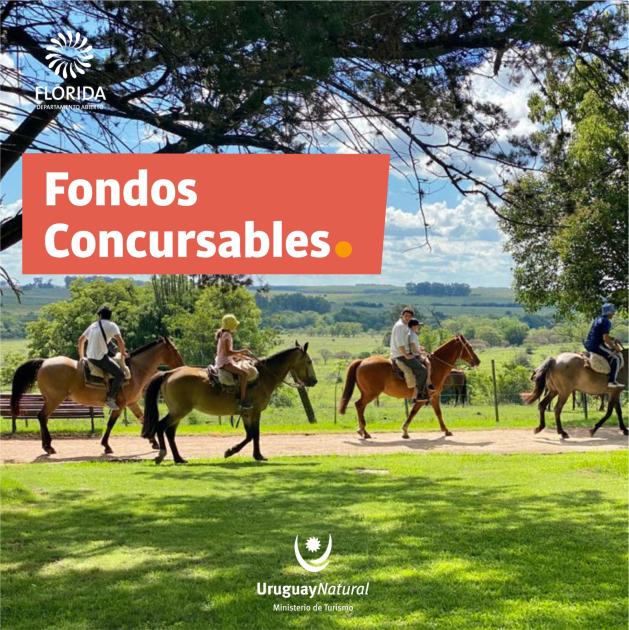Fondos Concursables Turísticos ´´
